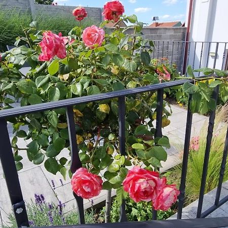 Penzion U Bustiku Sardice Dış mekan fotoğraf